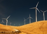 New York Times Bashes Stupid California Green Mandate